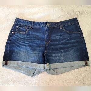 Time and Tru Jean Shorts Size 16